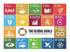 United Nations Sustainable Development Goals Logo